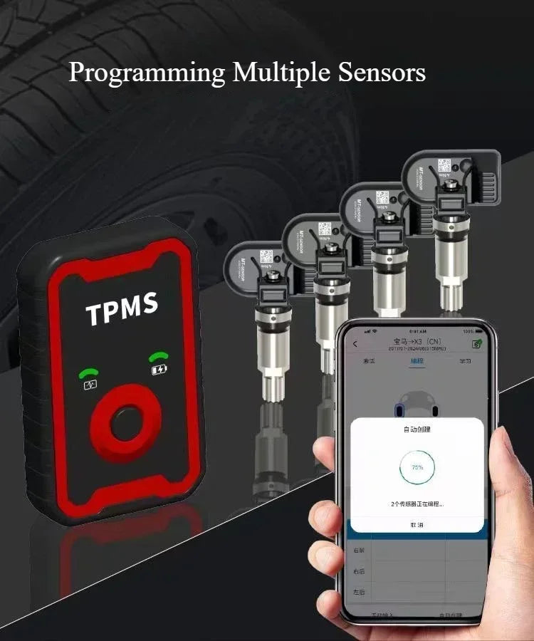 Programmable 2-in-1 TPMS Sensor (433MHz + 315MHz).
